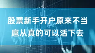 股票新手开户原来不当扈从真的可以活下去